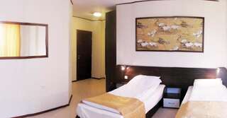 Отель Ambaritsa Hotel Горна-Оряховица Двухместный номер с 1 кроватью или 2 отдельными кроватями-2