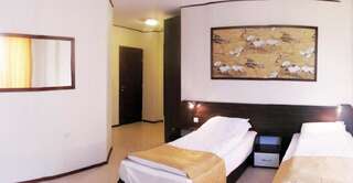 Отель Ambaritsa Hotel Горна-Оряховица Двухместный номер с 1 кроватью или 2 отдельными кроватями-5